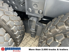 Tatra Phoenix 8x8, Stahlmulde ca. 22m³, hydr. 