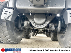 Tatra Phoenix 8x8, Stahlmulde ca. 22m³, hydr. 