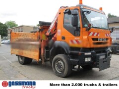 Iveco Trakker AD190T33W 4x4, Winterdienstausstattung, 