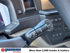 MAN TGS 18.480 BL 4x2, 20x VORHANDEN! 